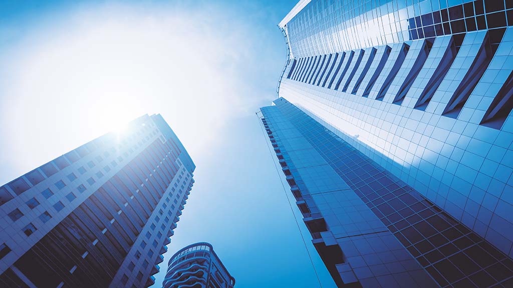 Domestic Investment Company